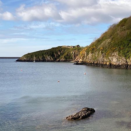 Snowdrop Cottage Fishguard Extérieur photo