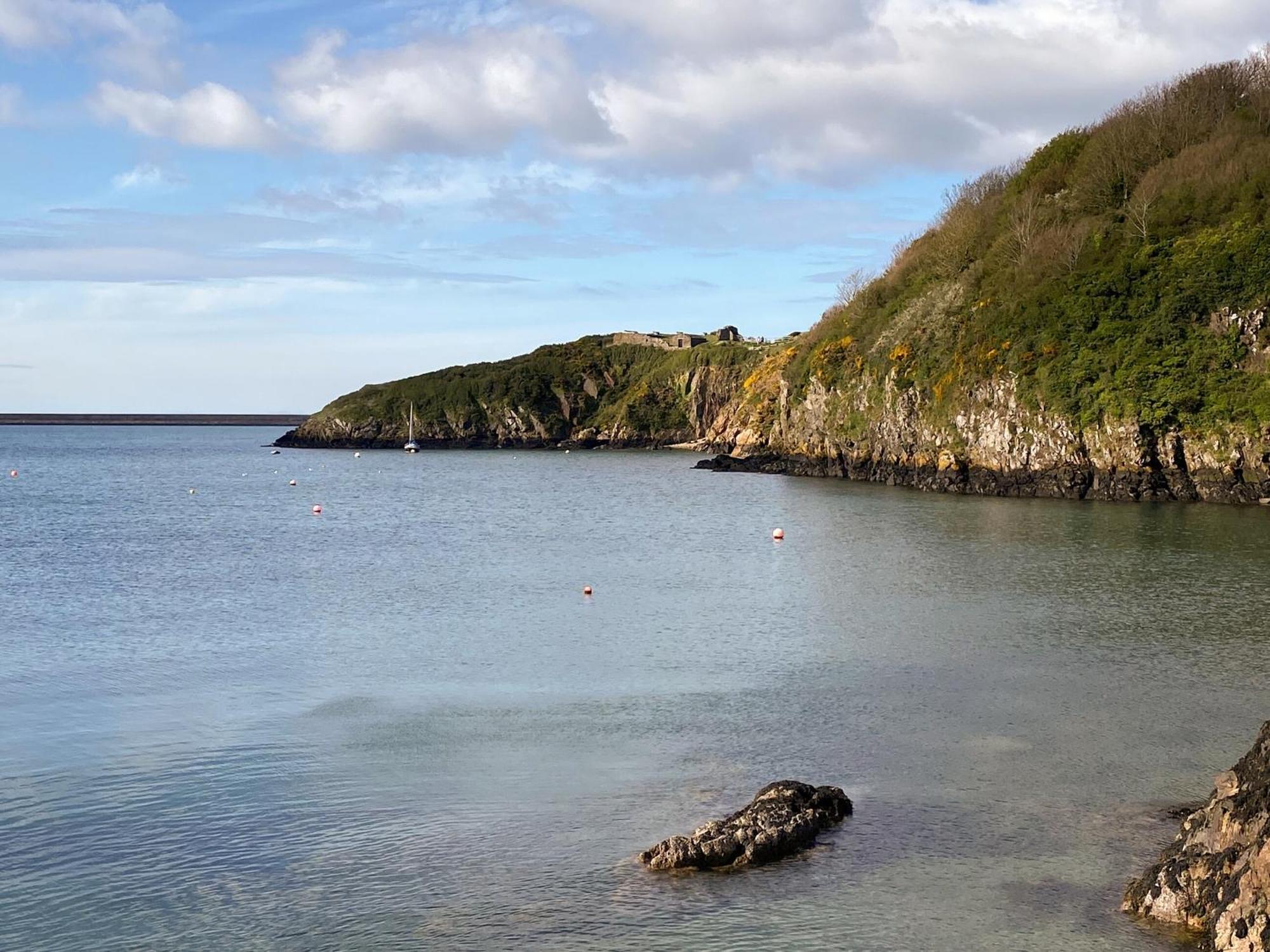 Snowdrop Cottage Fishguard Extérieur photo